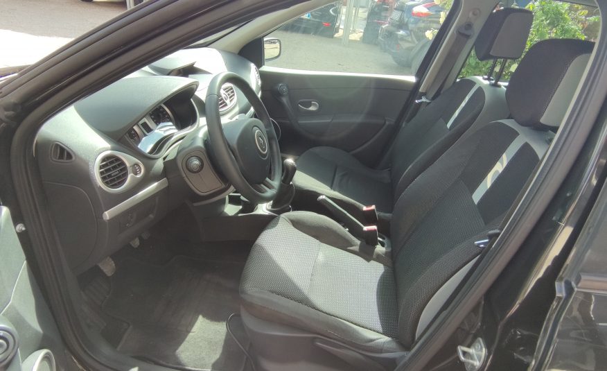 RENAULT CLIO RIPCURL 1.2 75cv NEOPATENTATI 2008