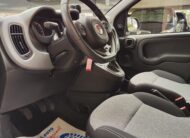 Fiat Panda 1.2 Trussardi ANNO 2020