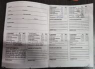 Volkswagen Polo 1.6 TDI 90CV 2013