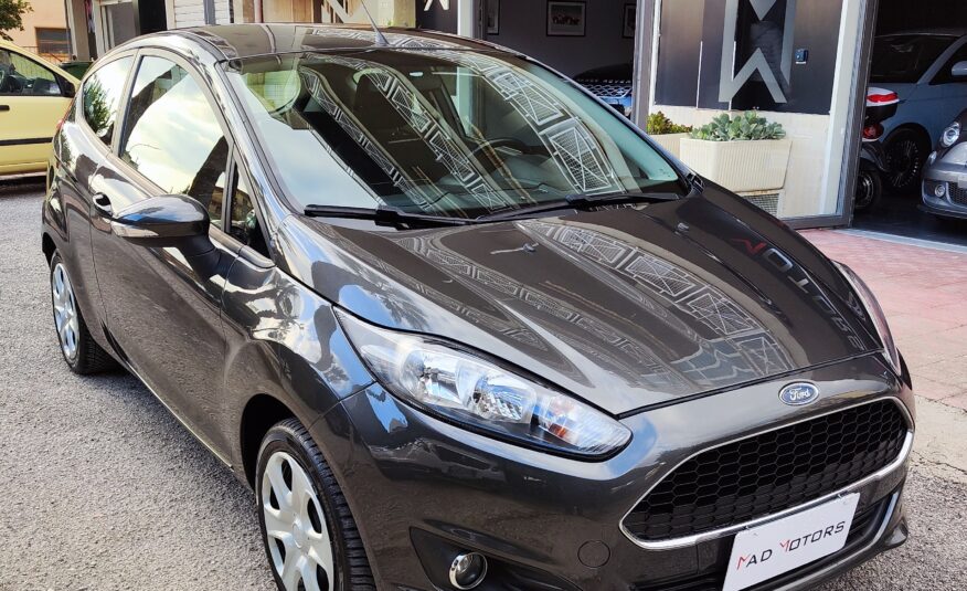 Ford Fiesta 1.5 75CV 2016 Titanium NEO