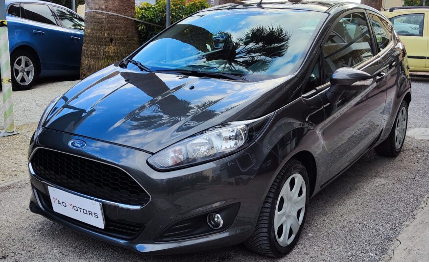Ford Fiesta 1.5 75CV 2016 Titanium NEO