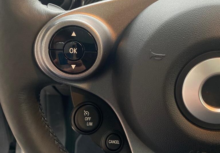 Smart ForTwo EQ Prime TETTO2021NEO