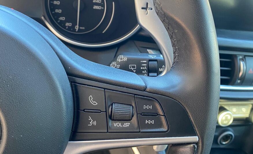 Alfa Romeo Stelvio 2.2 210 CV AT8 Q4 Executive 2020 IVA