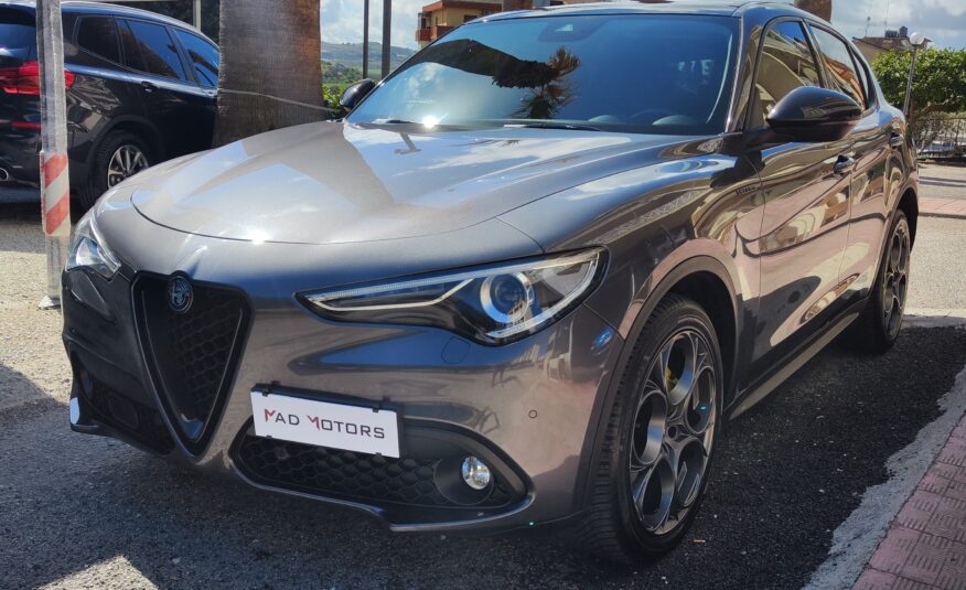 Alfa Romeo Stelvio 2.2 190 CV AT8 Q4 TETTO 2020