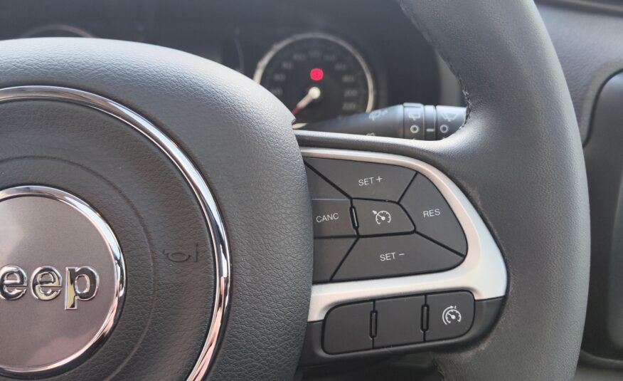 Jeep Renegade 2.0 140CV 4WD Longitude 2019 TETTO