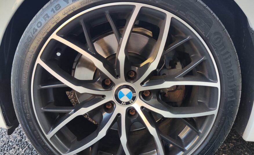 Bmw 123 123d cat 3 p Eletta DPF TETTO 2009