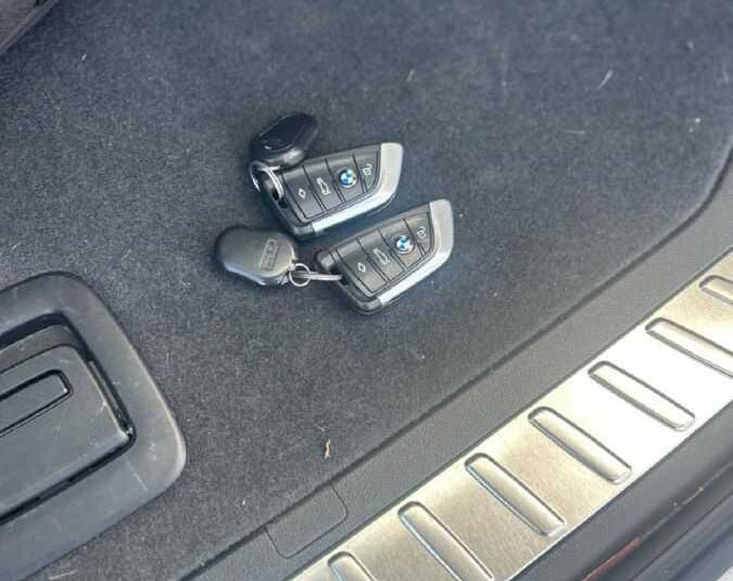 Bmw X3 xDrive20d xLine 190CV 2020 IVA