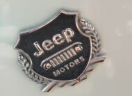 Jeep Renegade 1.6 Mjt 120 CV Limited 2016 NEO