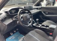 Peugeot 2008 BlueHDi GT Line Tetto