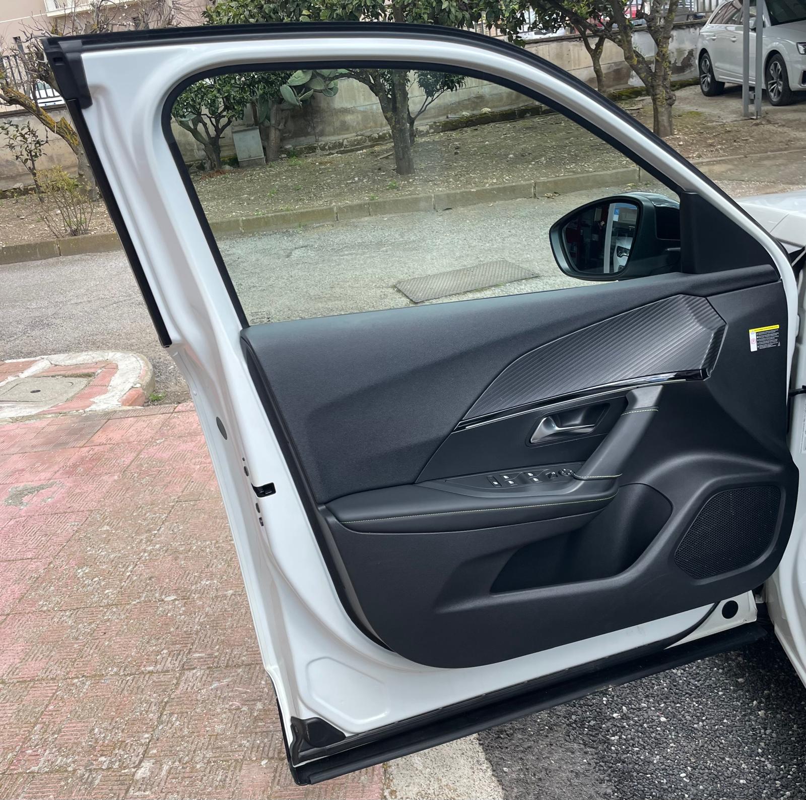 Peugeot 2008 BlueHDi GT Line Tetto