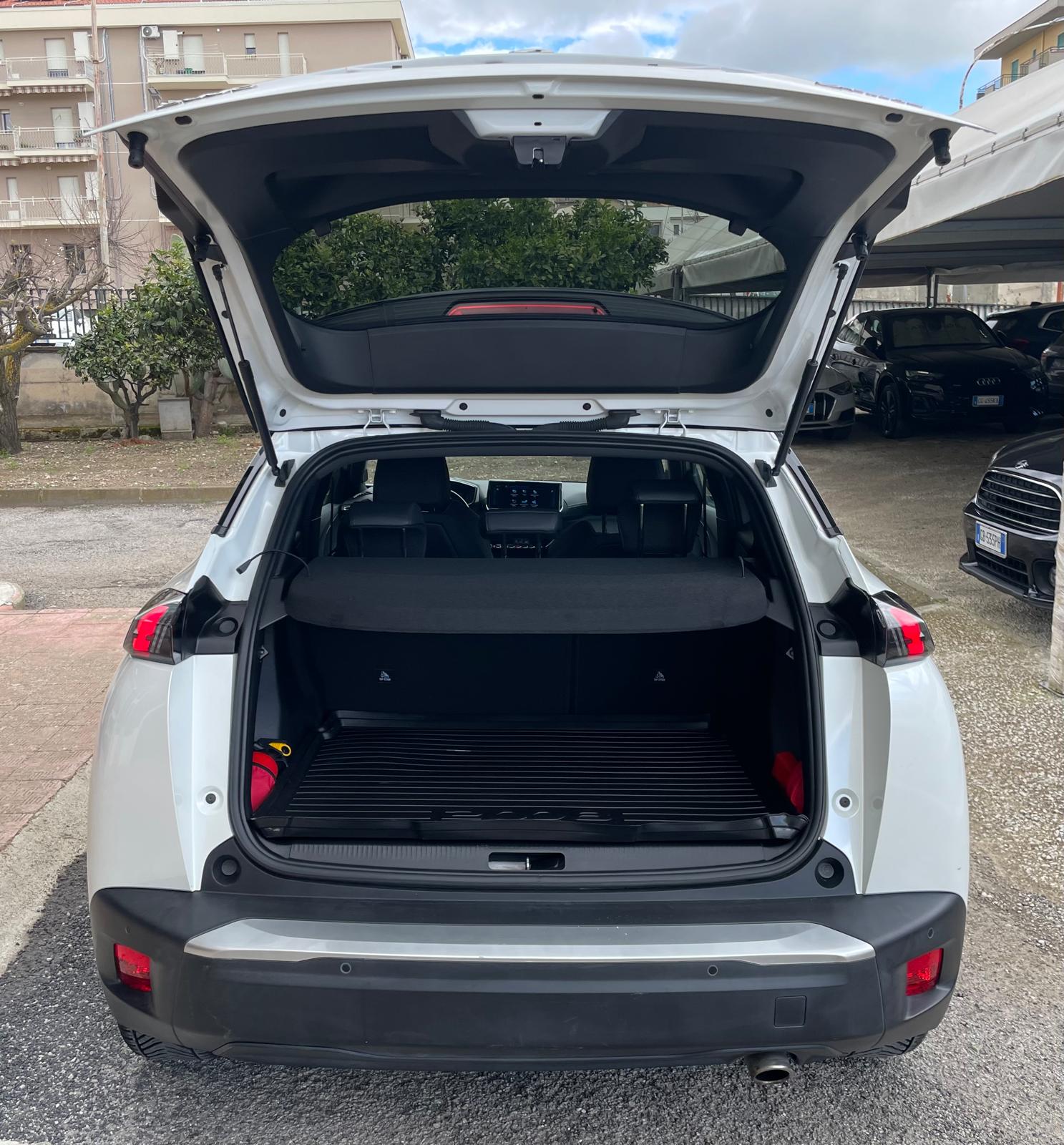 Peugeot 2008 BlueHDi GT Line Tetto