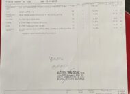Peugeot 2008 BlueHDi GT Line Tetto